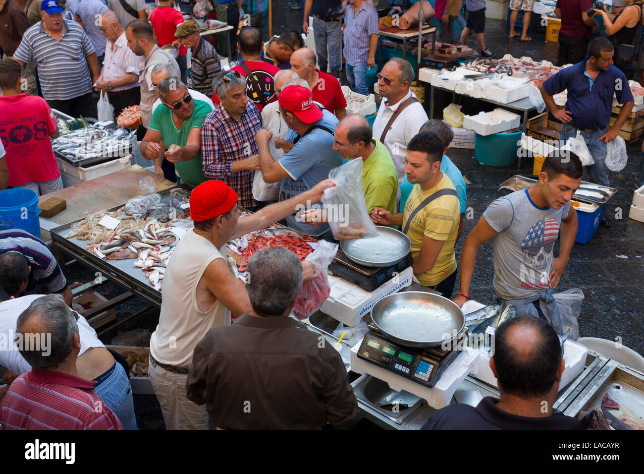 fish market in Catania Sicily Italy Stock Photo Alamy