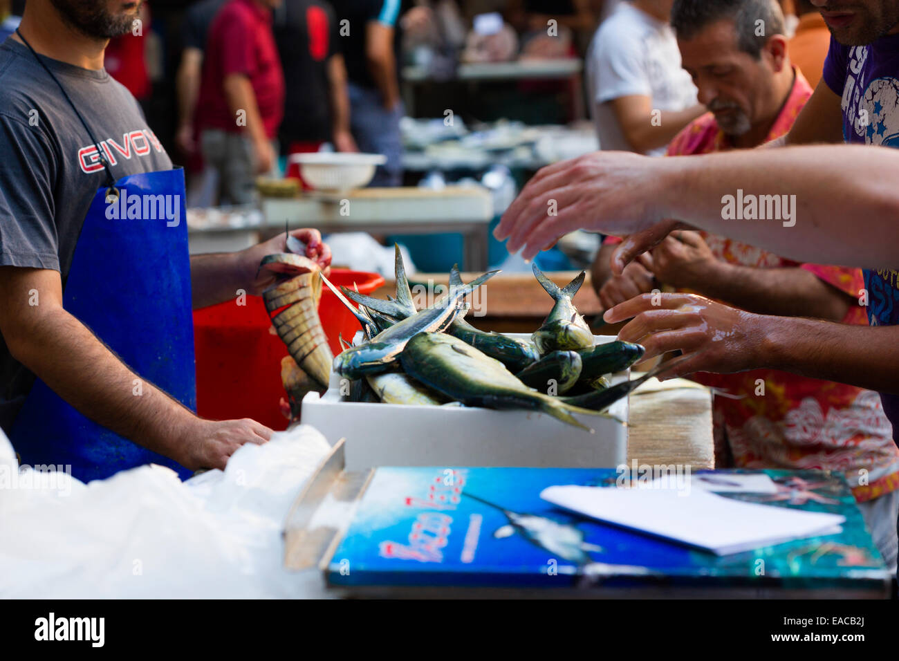 fish market in Catania Sicily Italy Stock Photo Alamy