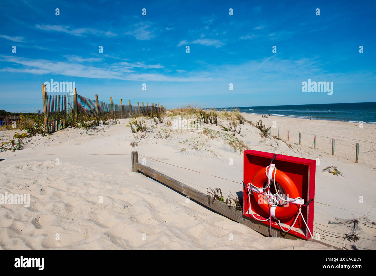 assateague beach assateague beach