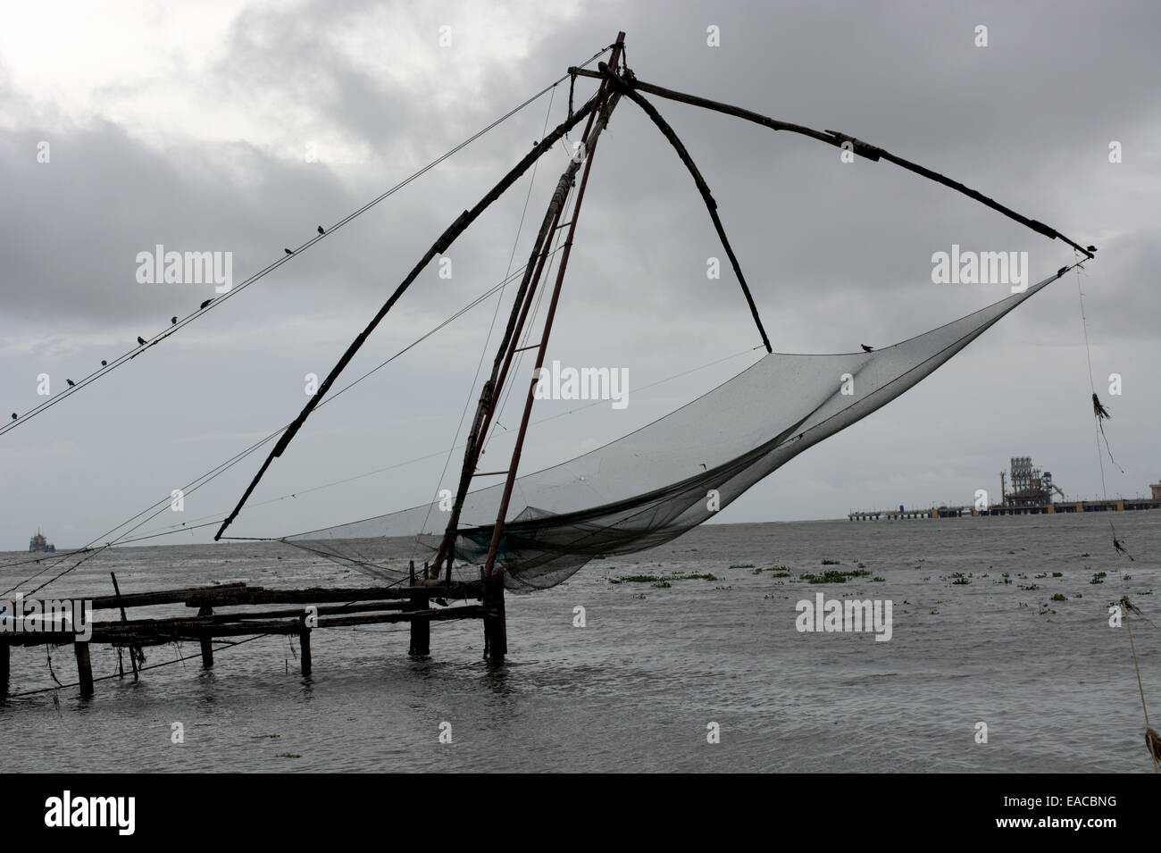 Chinese fishing nets, Fort Kochi (Cochin), Kerala, South India, Asia