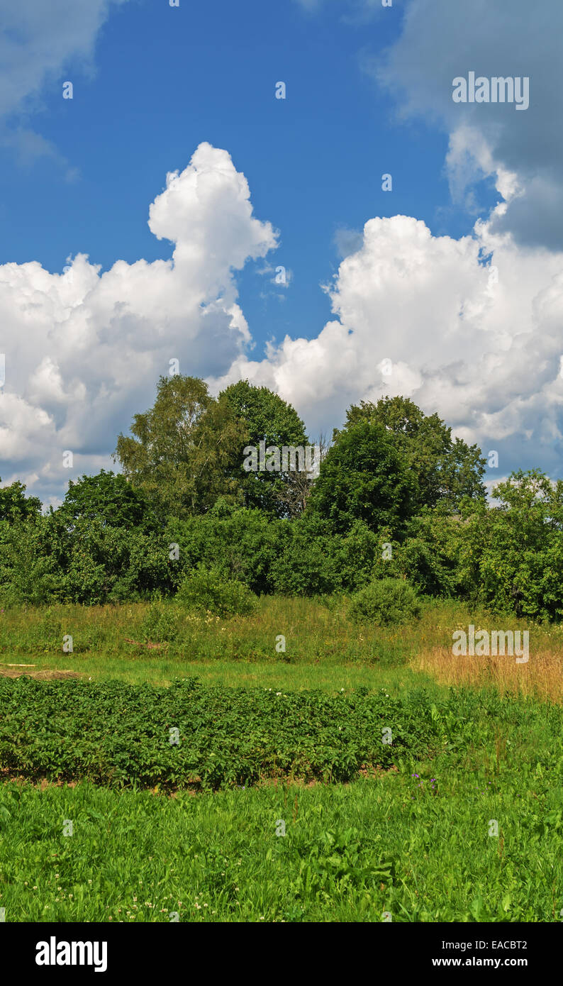 Rural field and cloudy sky Stock Photo - Alamy