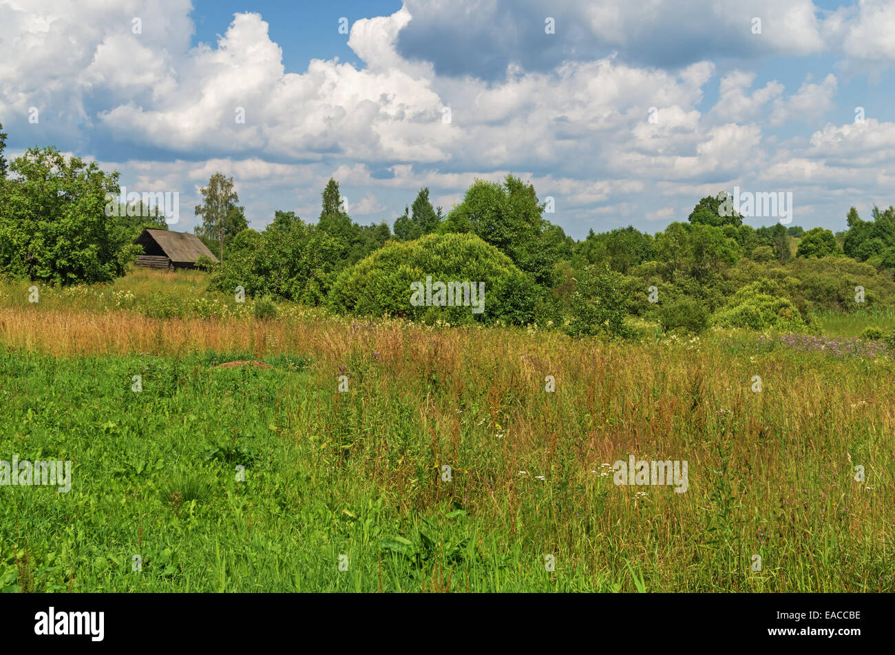 Rural field, house, garden and cloudy sky Stock Photo - Alamy
