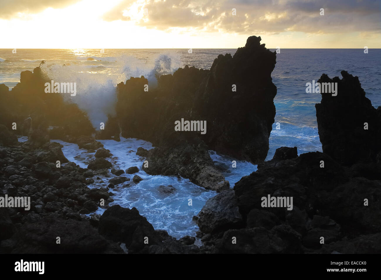 Ocean waves crash on the lava rocky coast at Laupāhoehoe Point on the big island of Hawaii Stock Photo