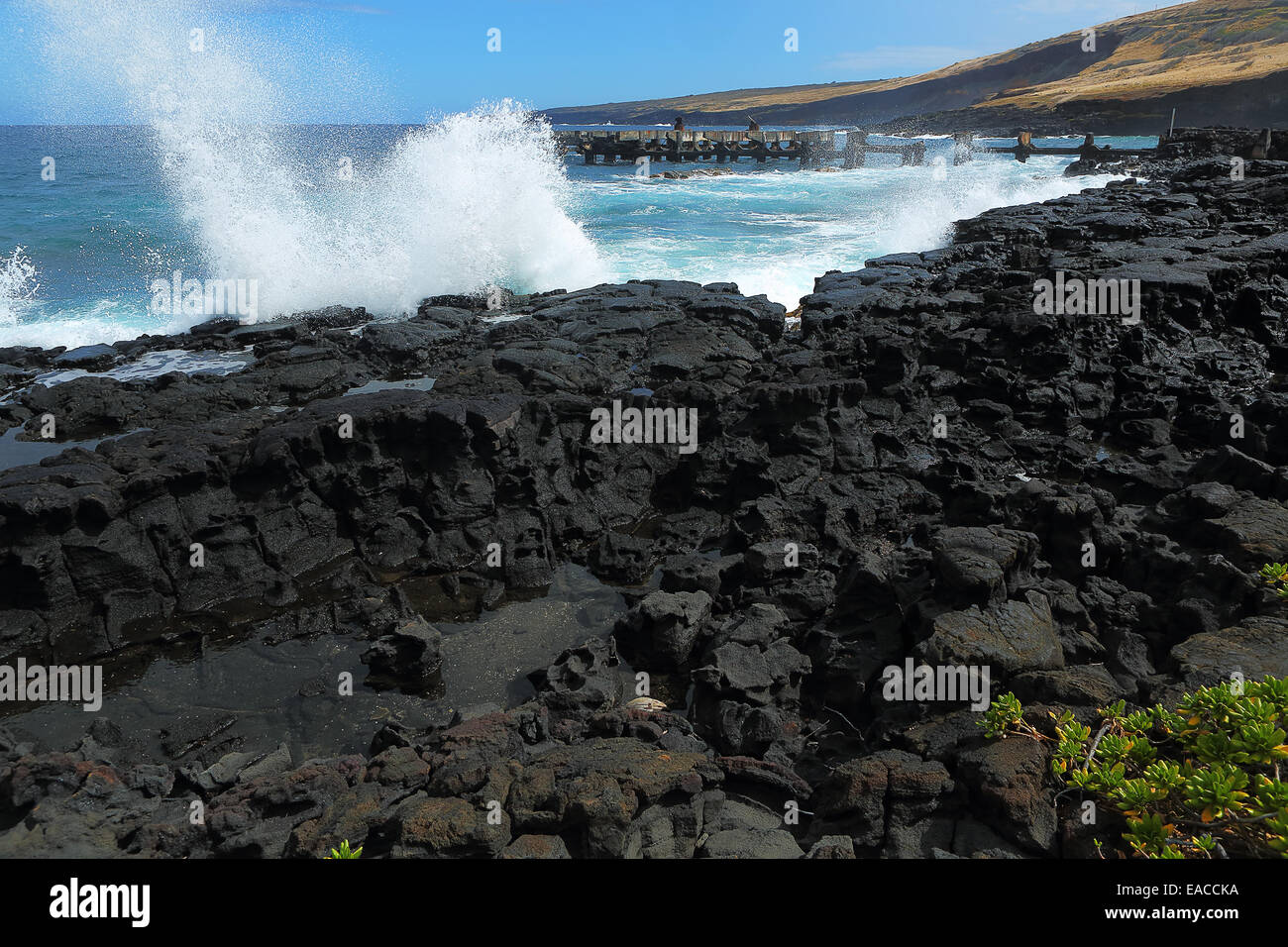 Ocean waves crash on the lava rocky coast of Whittington Park in the town of Naalehu on the big island of Hawaii Stock Photo