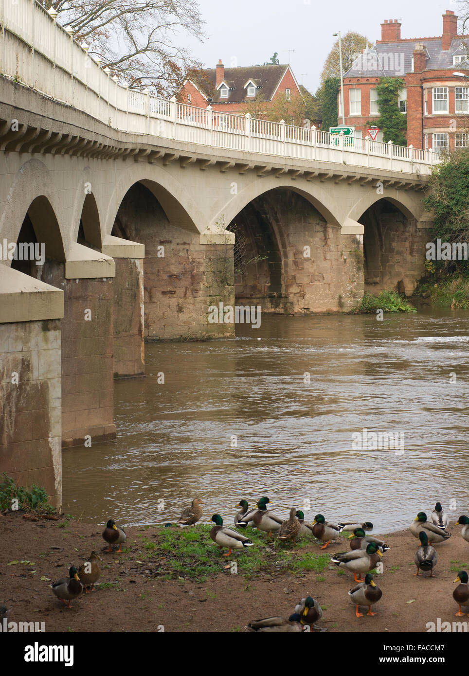 Tenbury Wells bridge spanning the river Teme Stock Photo Alamy