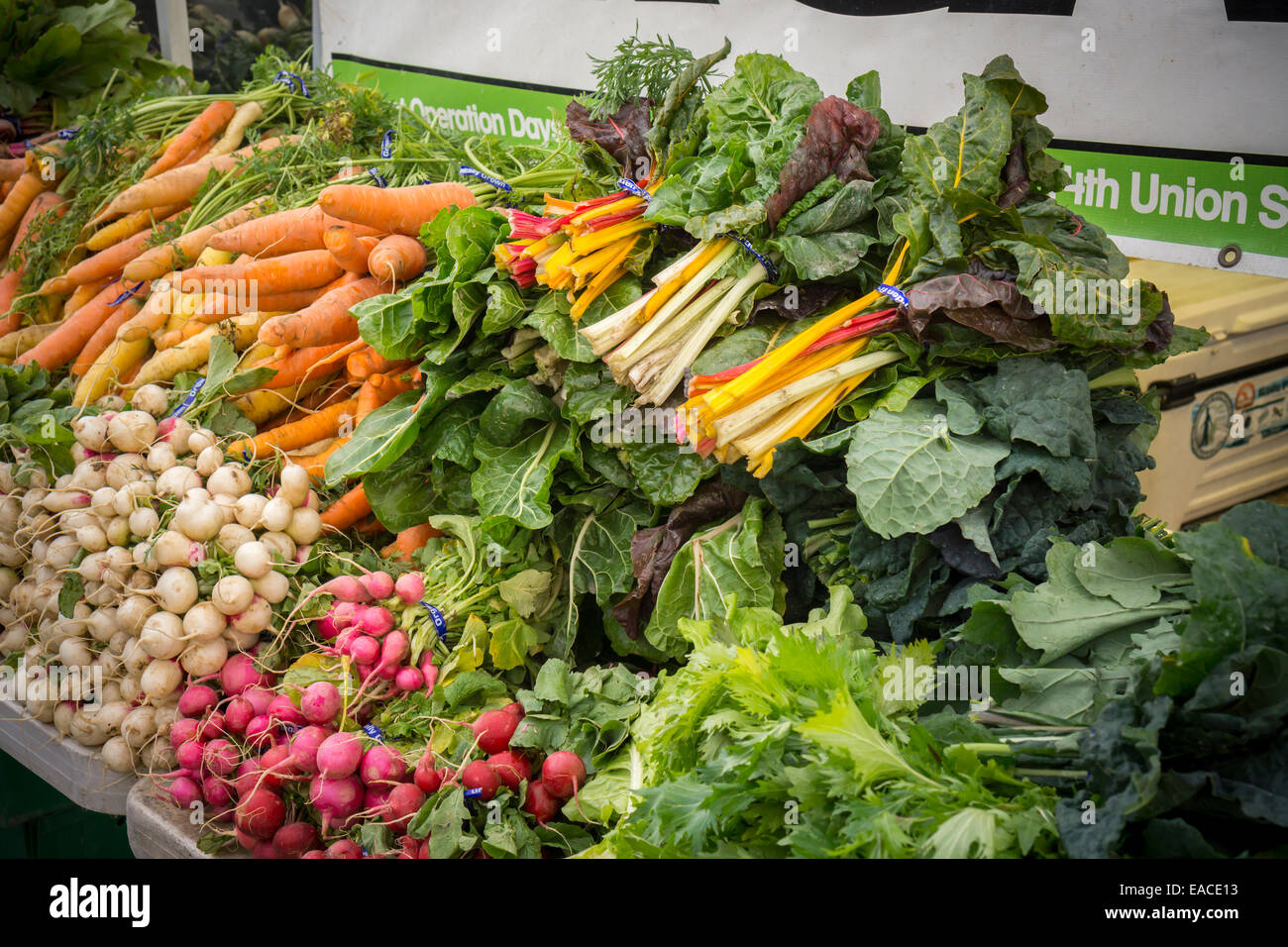 Organic swiss chard, carrots, beets and other vegetables are seen at the Union Square Greenmarket in New york Stock Photo