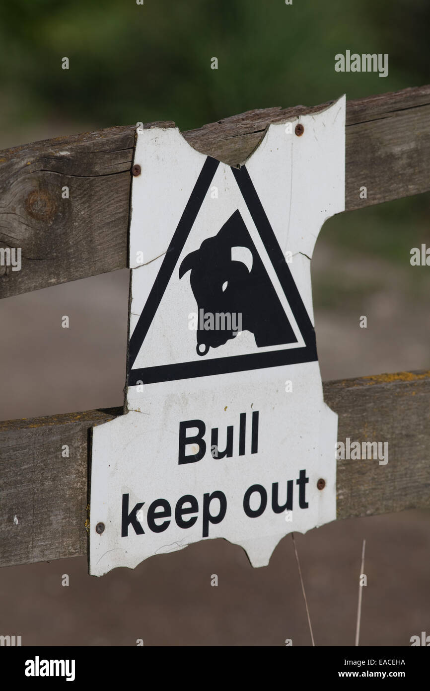 Sign posted on field fence, Suffolk. 'Bull keep out'. Stock Photo