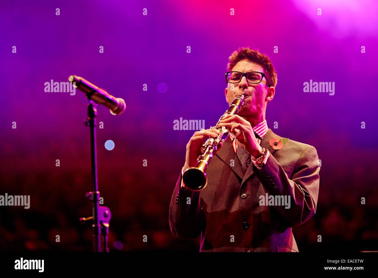 LONDON, UK. 11th Nov, 2014. Bernstein Project from Hampshire at the Music for Youth Schools Prom 2014 at the Royal Albert Hall. Credit:  Alick Cotterill/Alamy Live News Stock Photo