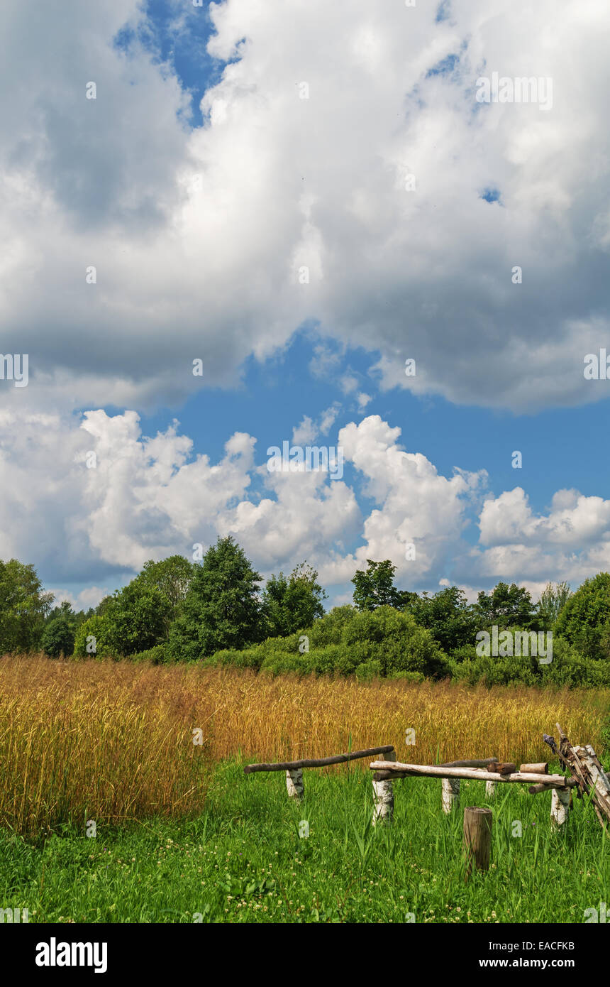 Rural field, wheat and cloudy sky Stock Photo - Alamy