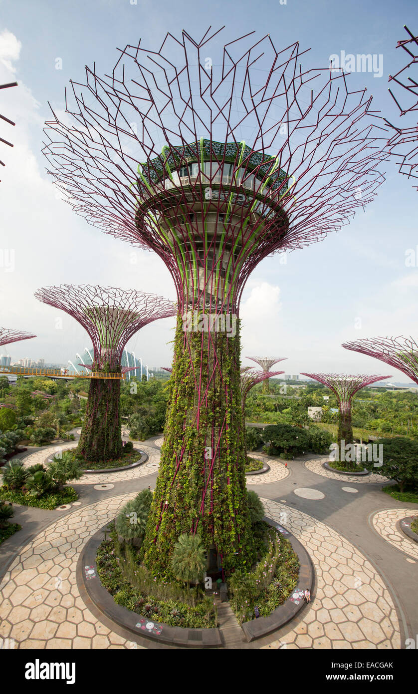 View of immense 'supertrees', vertical gardens, & parklands of