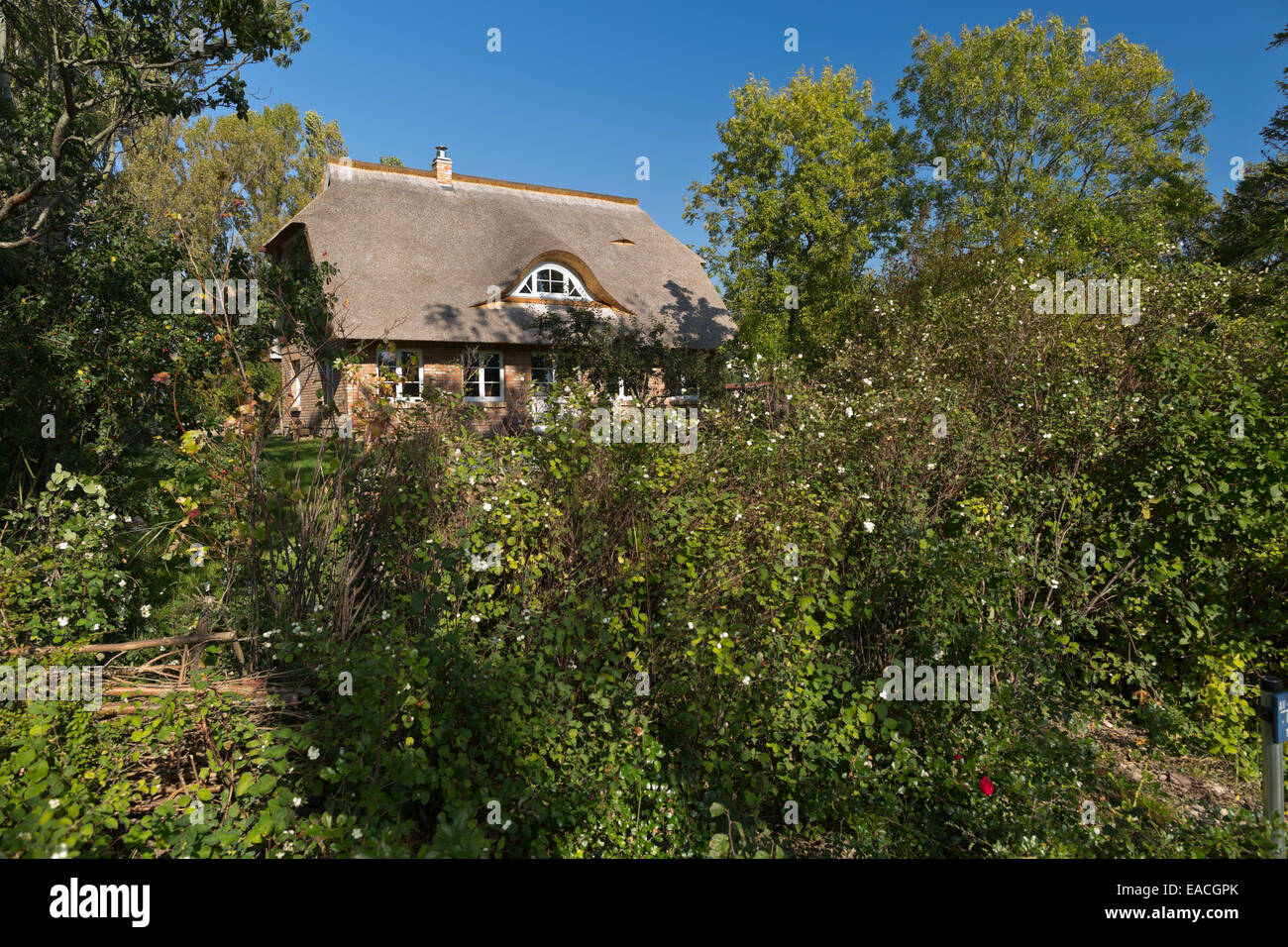 Rügen, Putgarten, Cape Arkona (Kap Arkona) traditional thatched roof