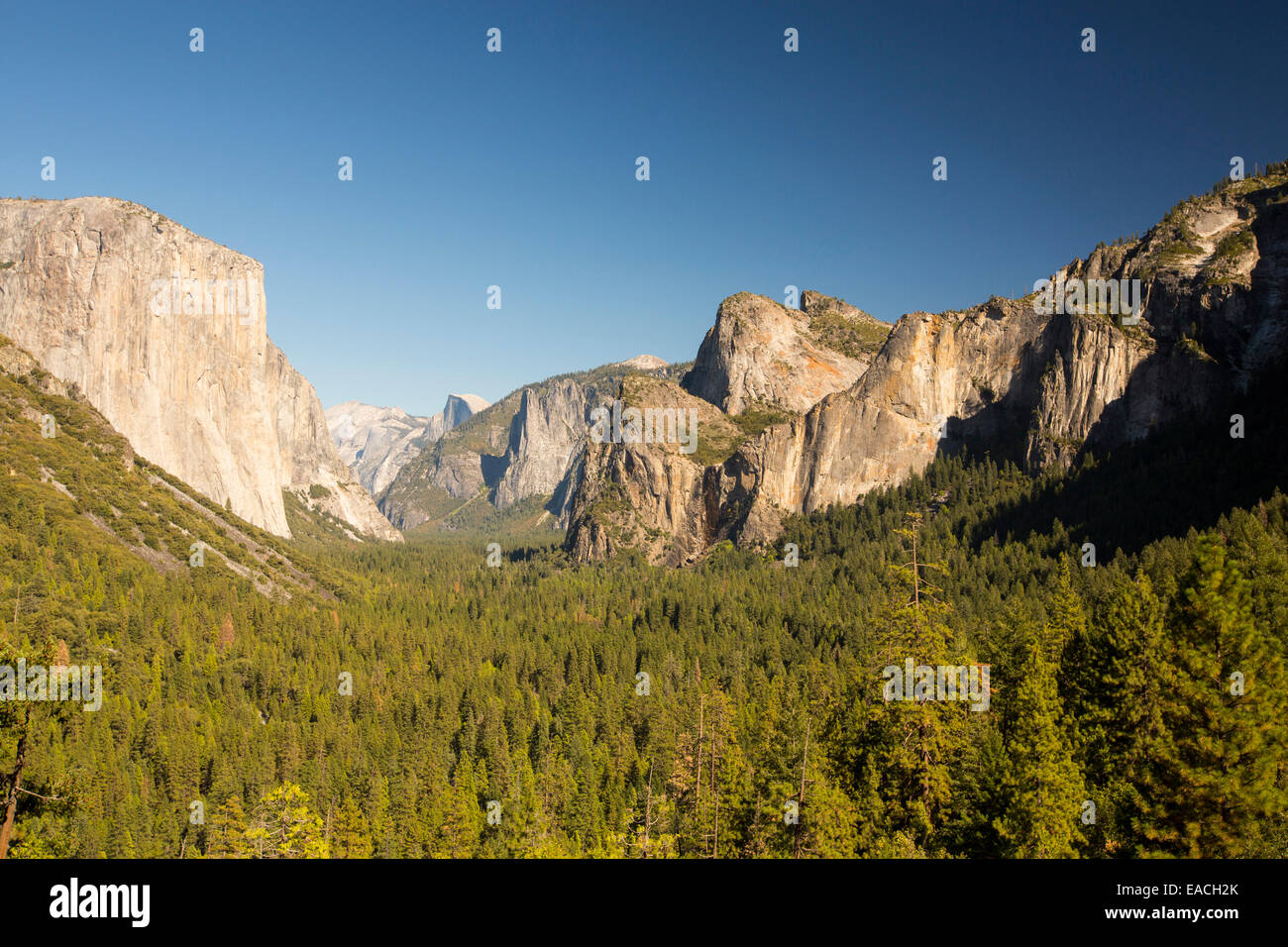 El Capitan probably the most famous climbing wall in Yosemite National Park, California, USA