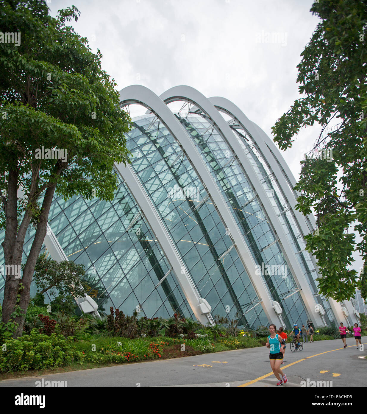 Gigantic dome / glass conservatory & trees at Gardens By The Bay in  Singapore with people jogging on adjacent pedestrian track Stock Photo -  Alamy