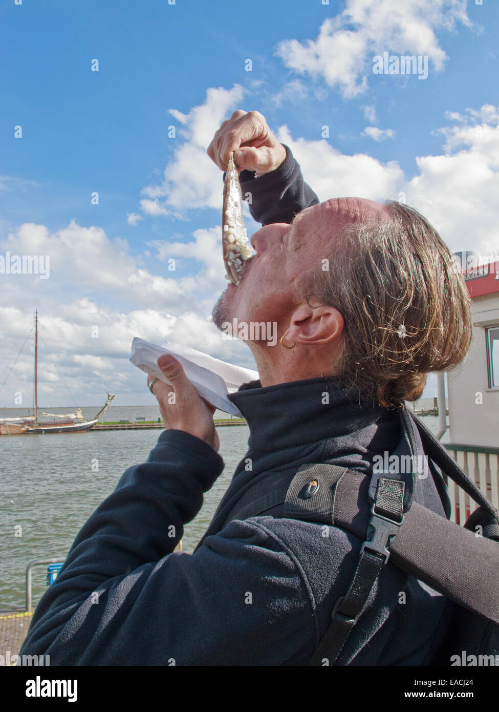 The typical Dutch style to eat a raw herring. Stock Photo