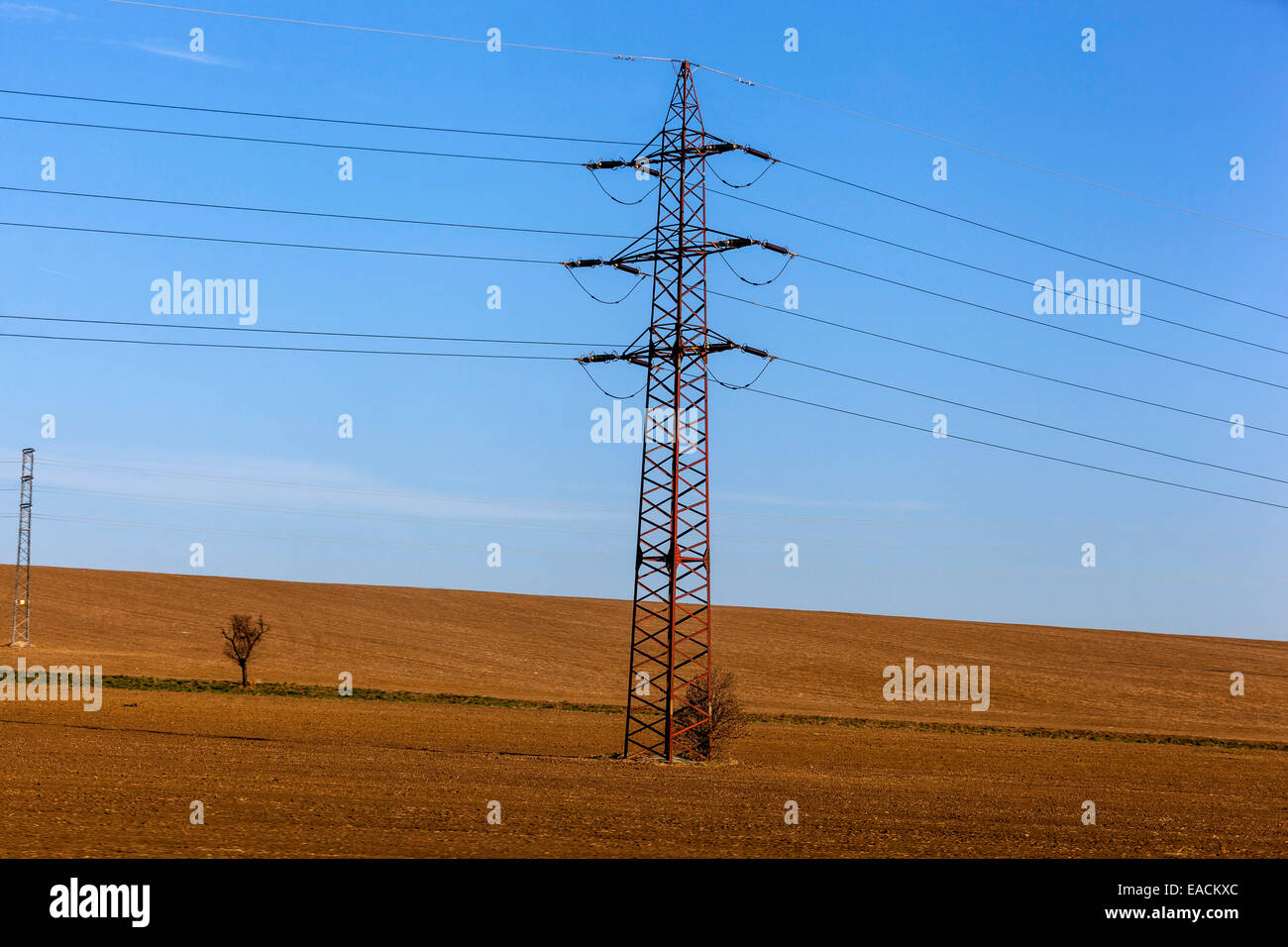 Transmission, power lines in a field Stock Photo
