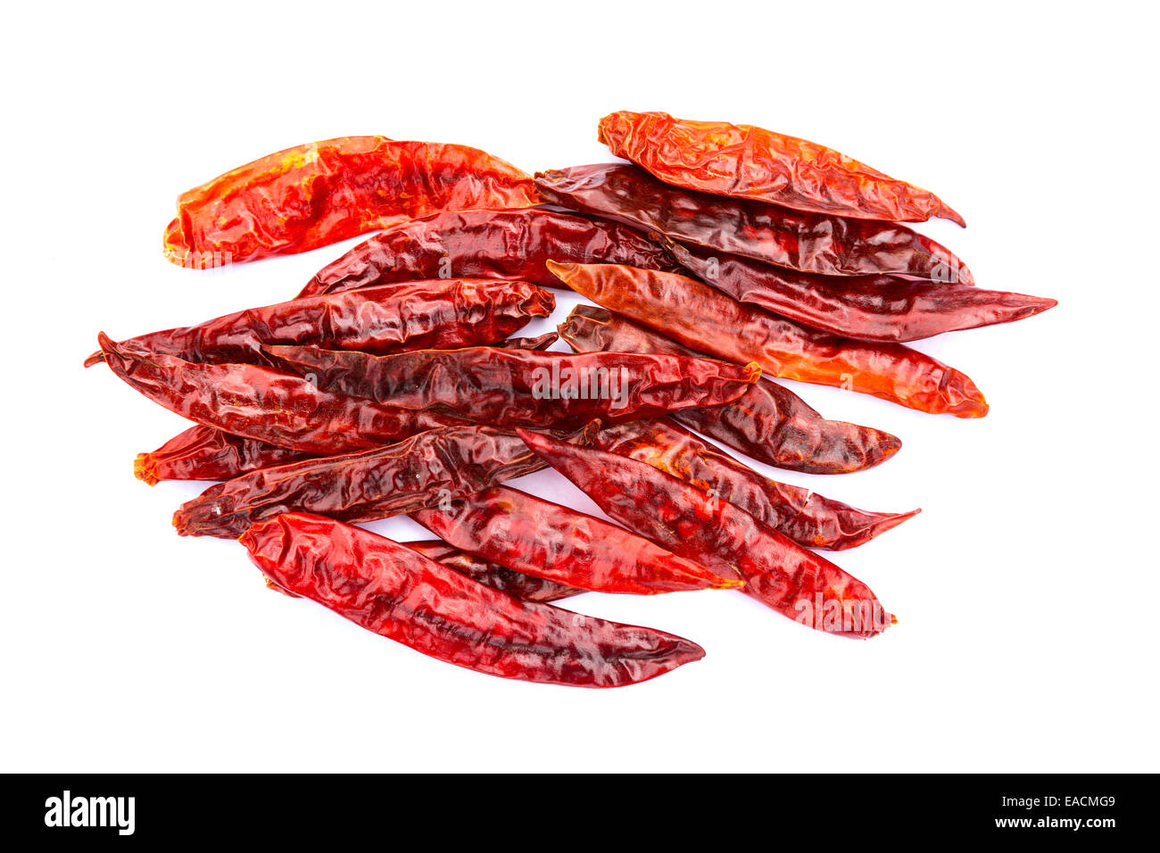 Chile de arbol seco dried hot Arbol pepper on white background Stock