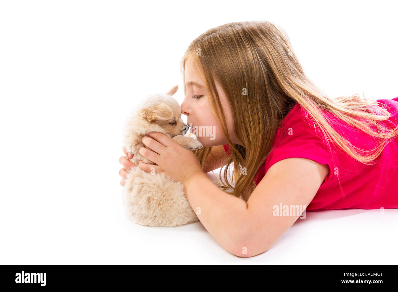 blond kid girl with puppy chihuahua pet dog relaxed playing happy lying ...