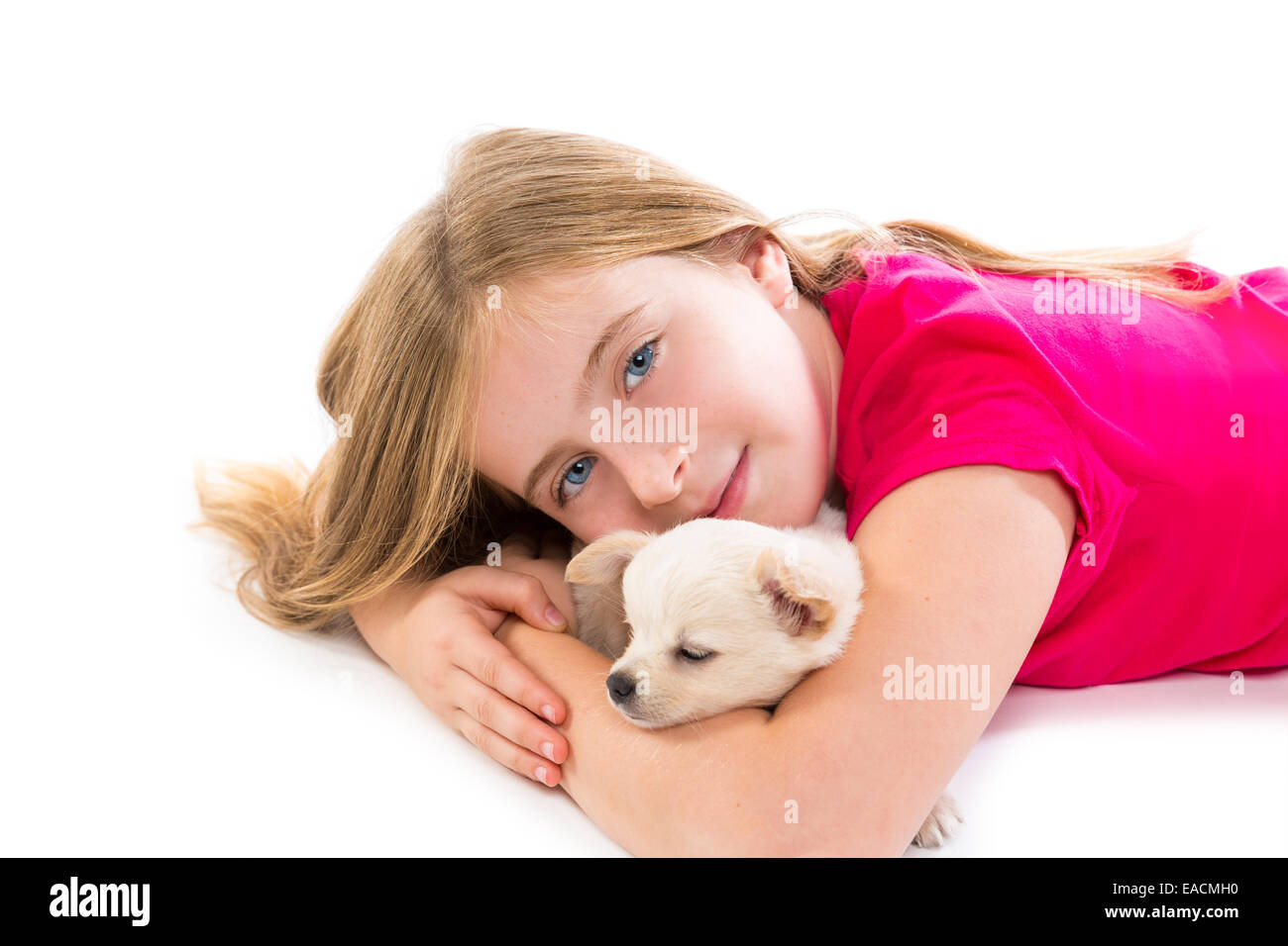blond kid girl with puppy chihuahua pet dog relaxed playing happy lying ...