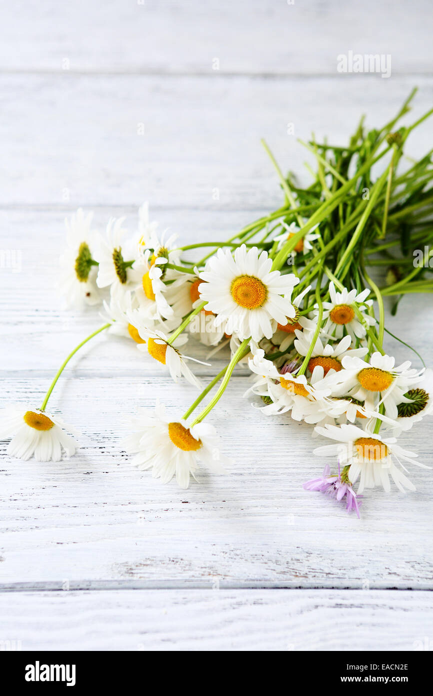 Bouquet of field daisies, top view Stock Photo