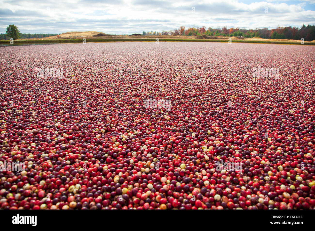 Wide angle shot hi-res stock photography and images - Alamy