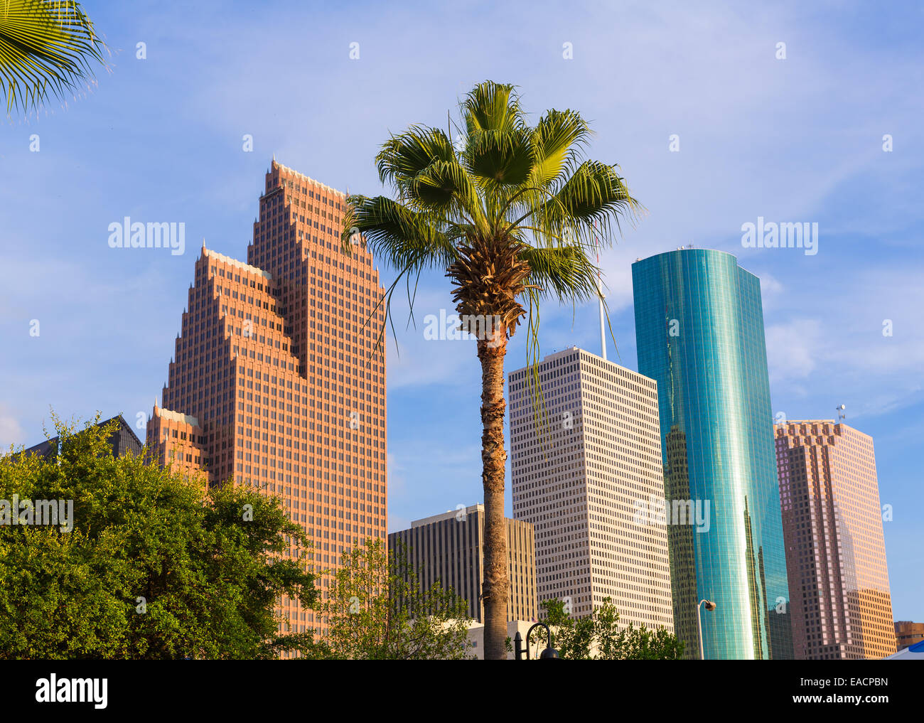 Houston Skyline North view palm trees in Texas US USA Stock Photo Alamy