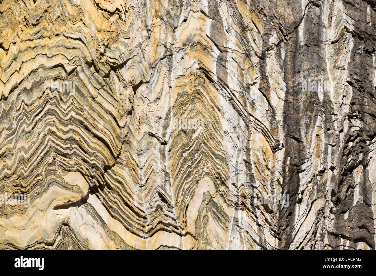 Folded metamorphic rock in Kings Canyon National Park, California, USA Stock Photo