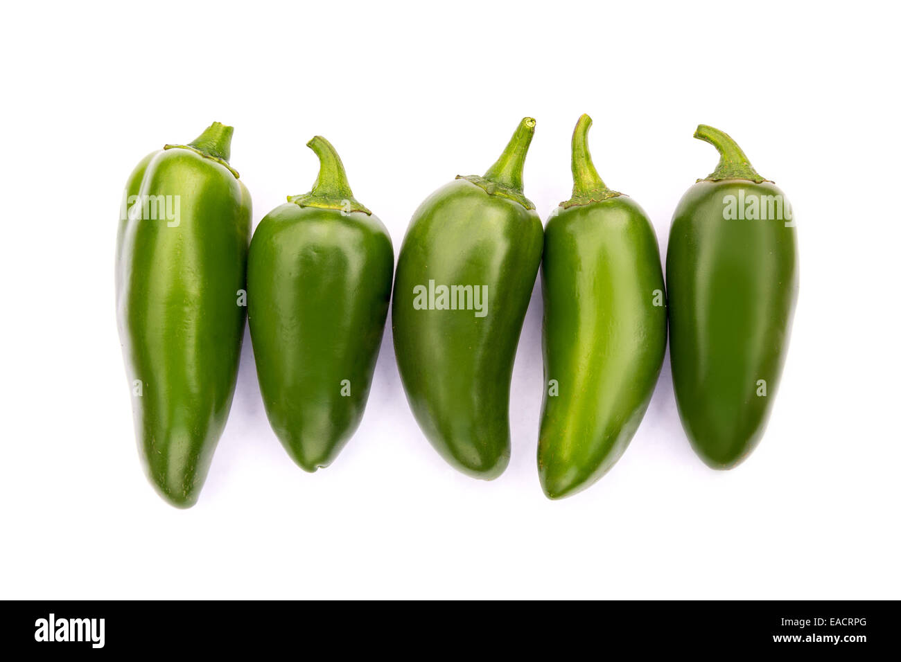 Chile Jalapeno hot chili pepper on white background Stock Photo Alamy