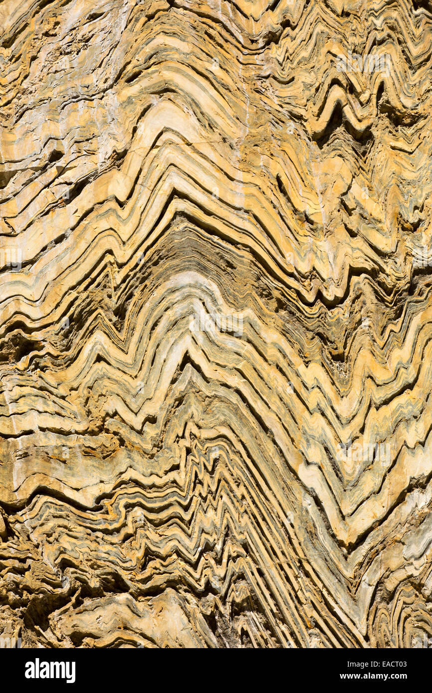 Metamorphic Rocks California Folded metamorphic rock in Kings Canyon National Park, California, USA ...