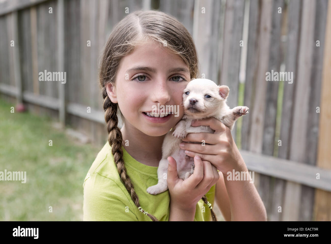 Girl playing with puppy chihuahua pet dog at the backyard Stock Photo ...