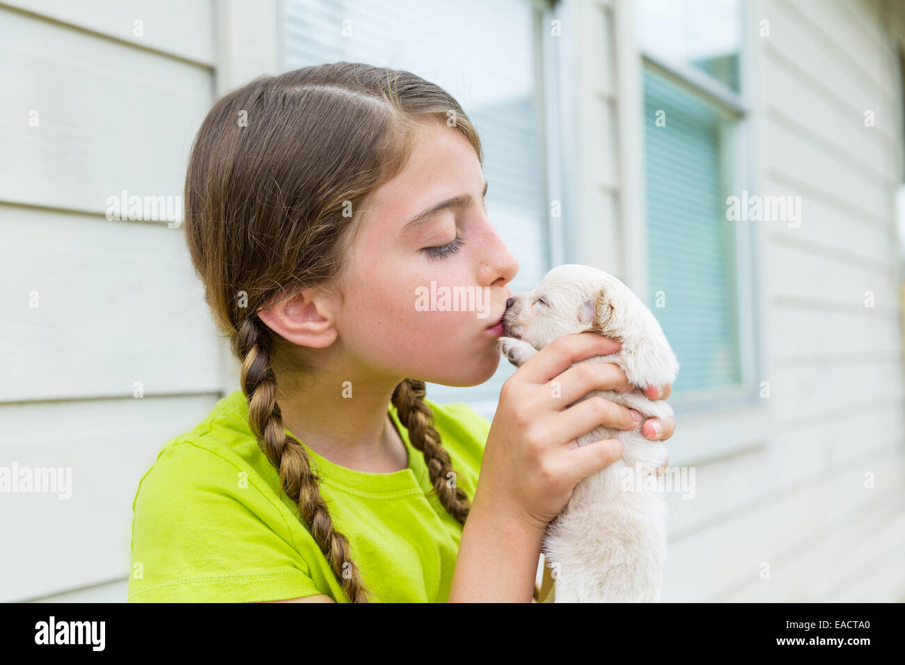 Girl playing kissing puppy chihuahua pet dog outdoor Stock Photo