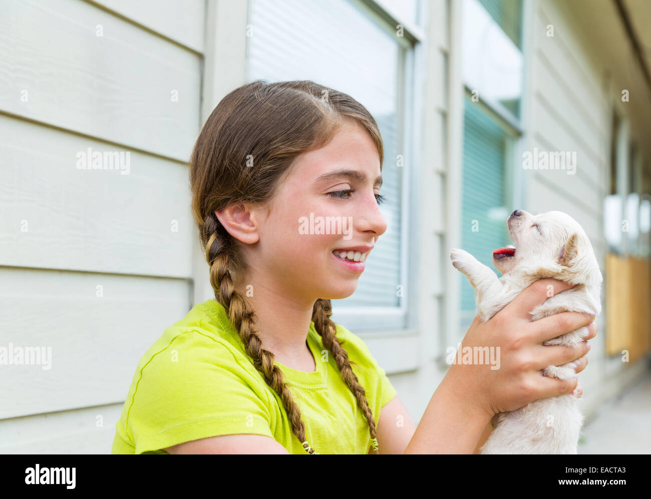 Girl playing with puppy chihuahua pet dog outdoor Stock Photo - Alamy