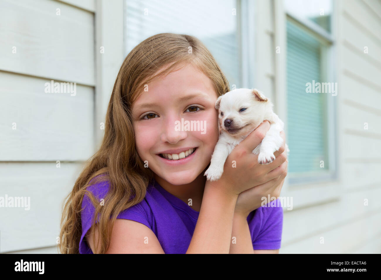 Girl playing with puppy chihuahua pet dog outdoor Stock Photo - Alamy