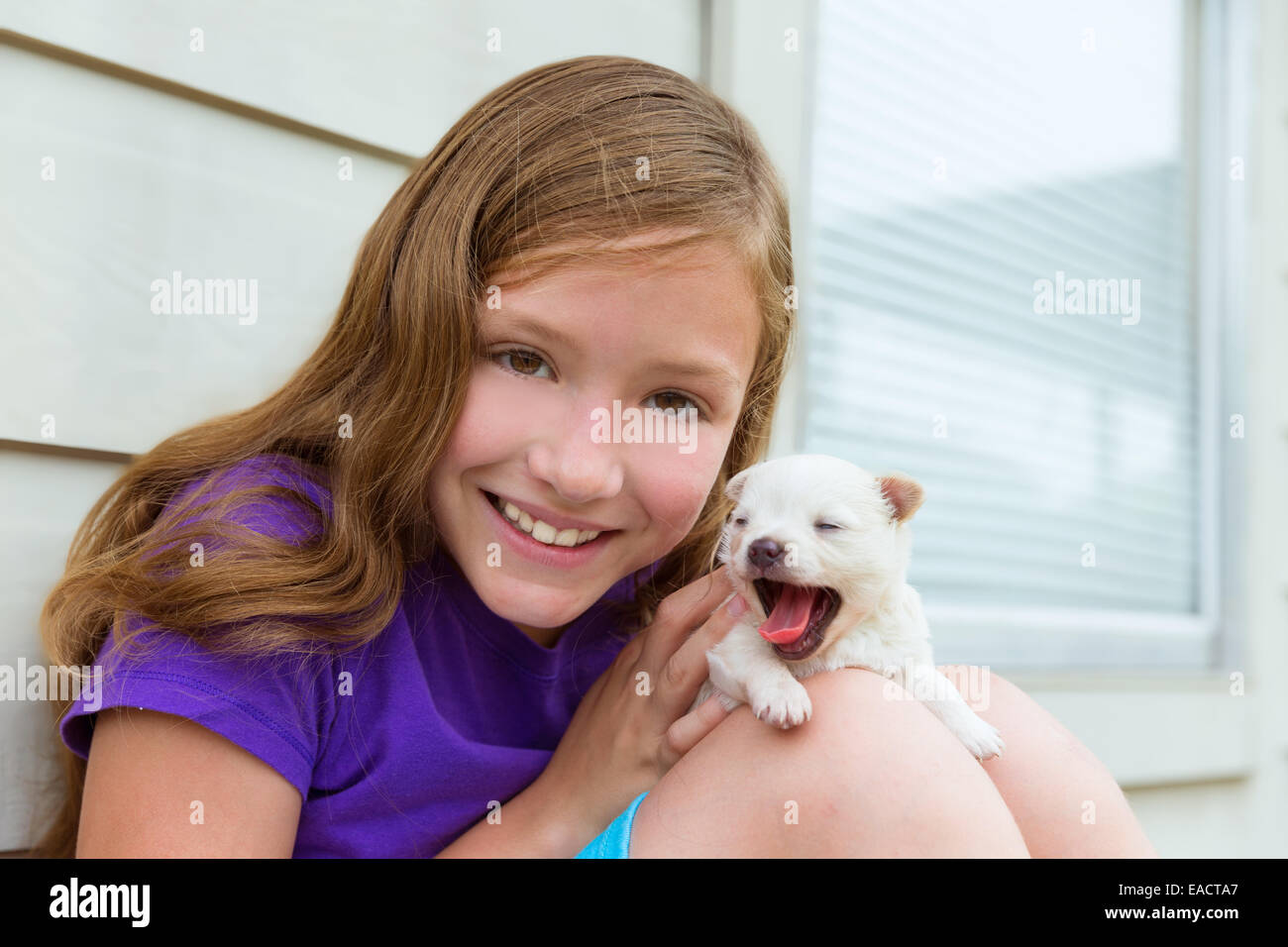 Girl playing with puppy chihuahua pet dog outdoor Stock Photo - Alamy
