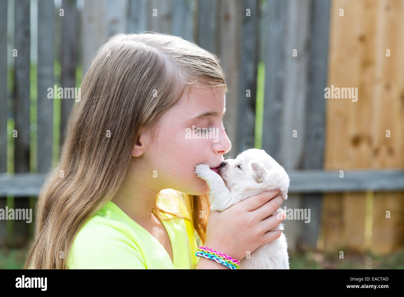 Blond kid girl kissing puppy pet chihuahua playing happy with doggy ...