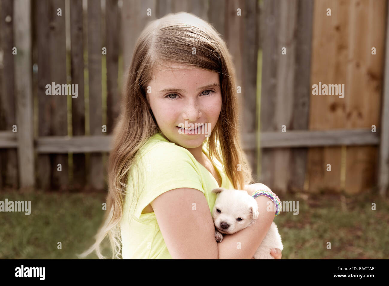 Blond kid girl with puppy pet chihuahua playing happy with doggy ...