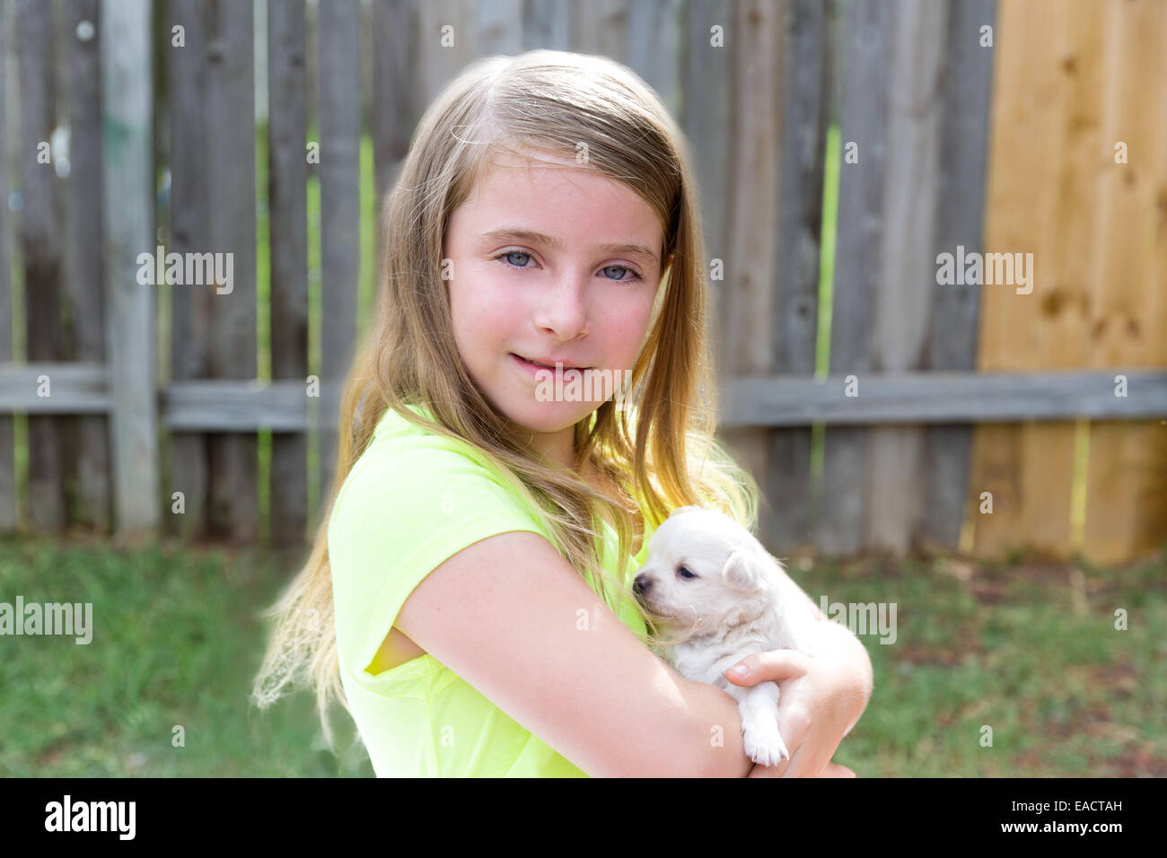Blond kid girl with puppy pet chihuahua playing happy with doggy ...
