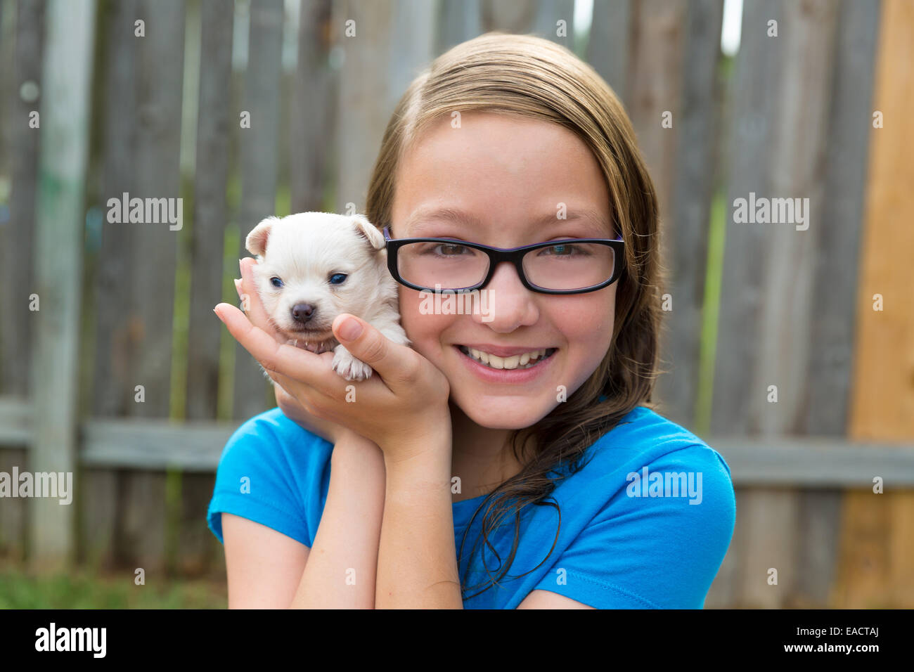 kid girl with puppy pet chihuahua playing happy with doggy outdoor ...