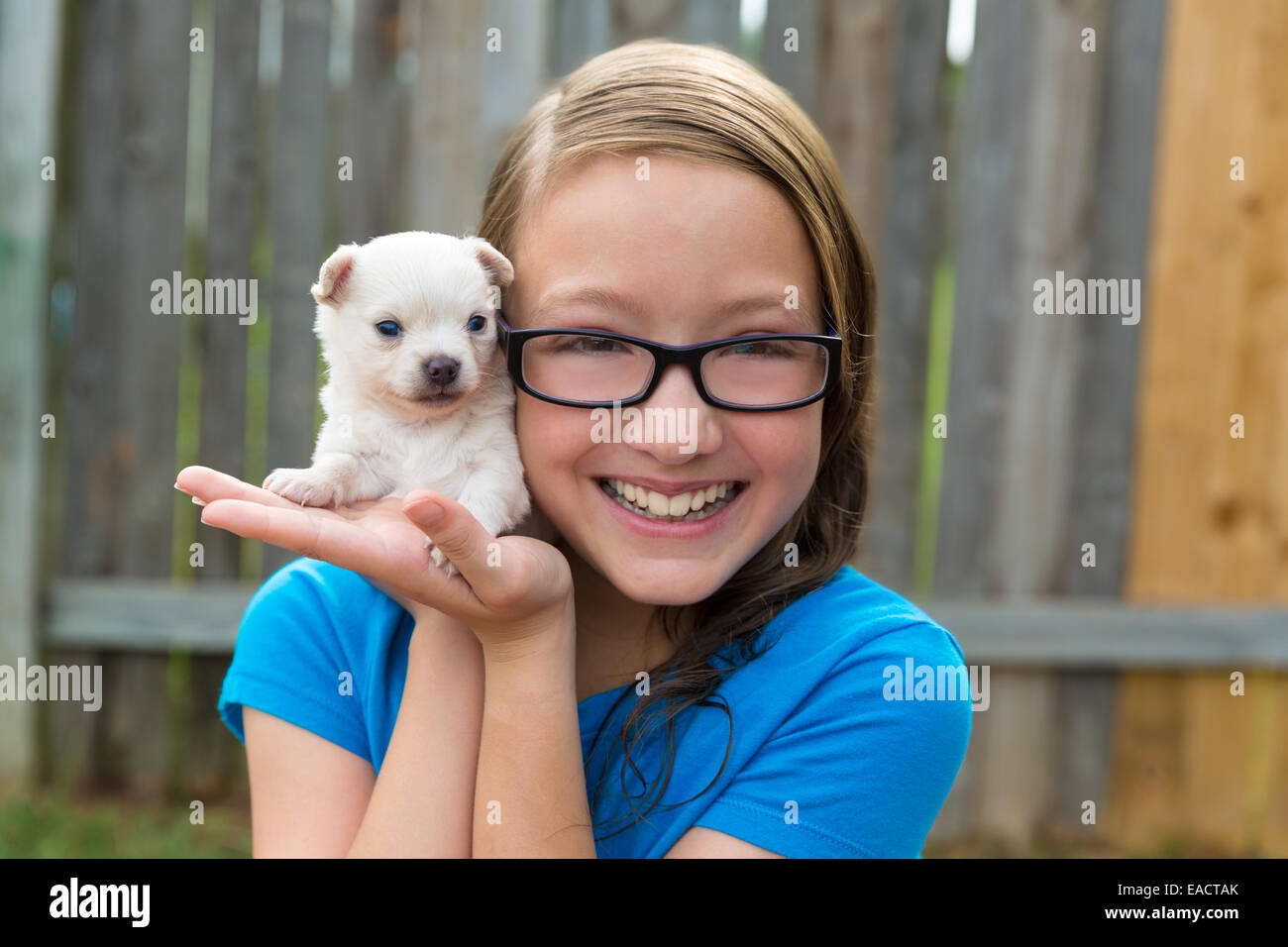kid girl with puppy pet chihuahua playing happy with doggy outdoor ...