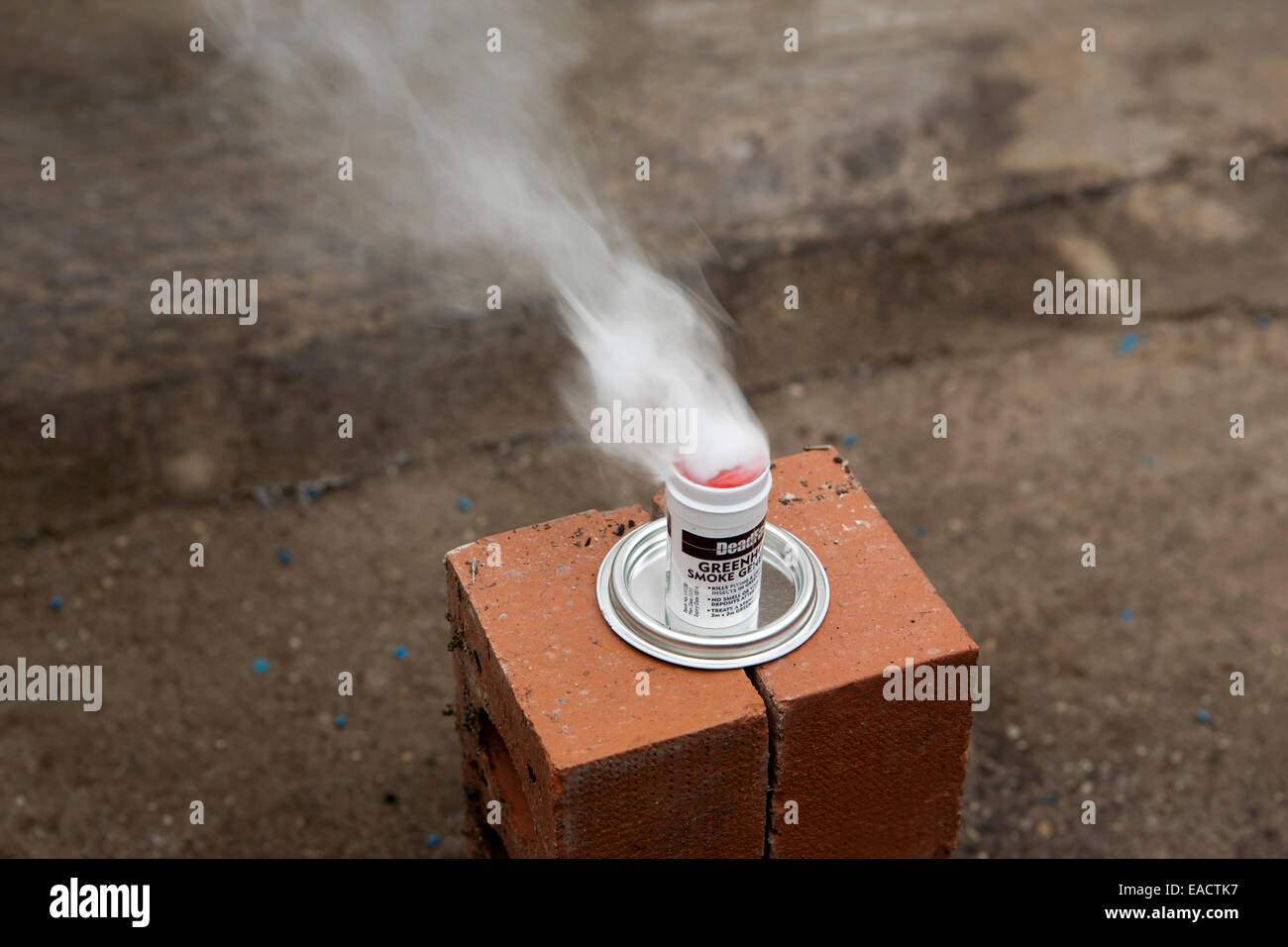 Cleaning a greenhouse with a smoke bomb,grenade,sulphur,candle, to kill