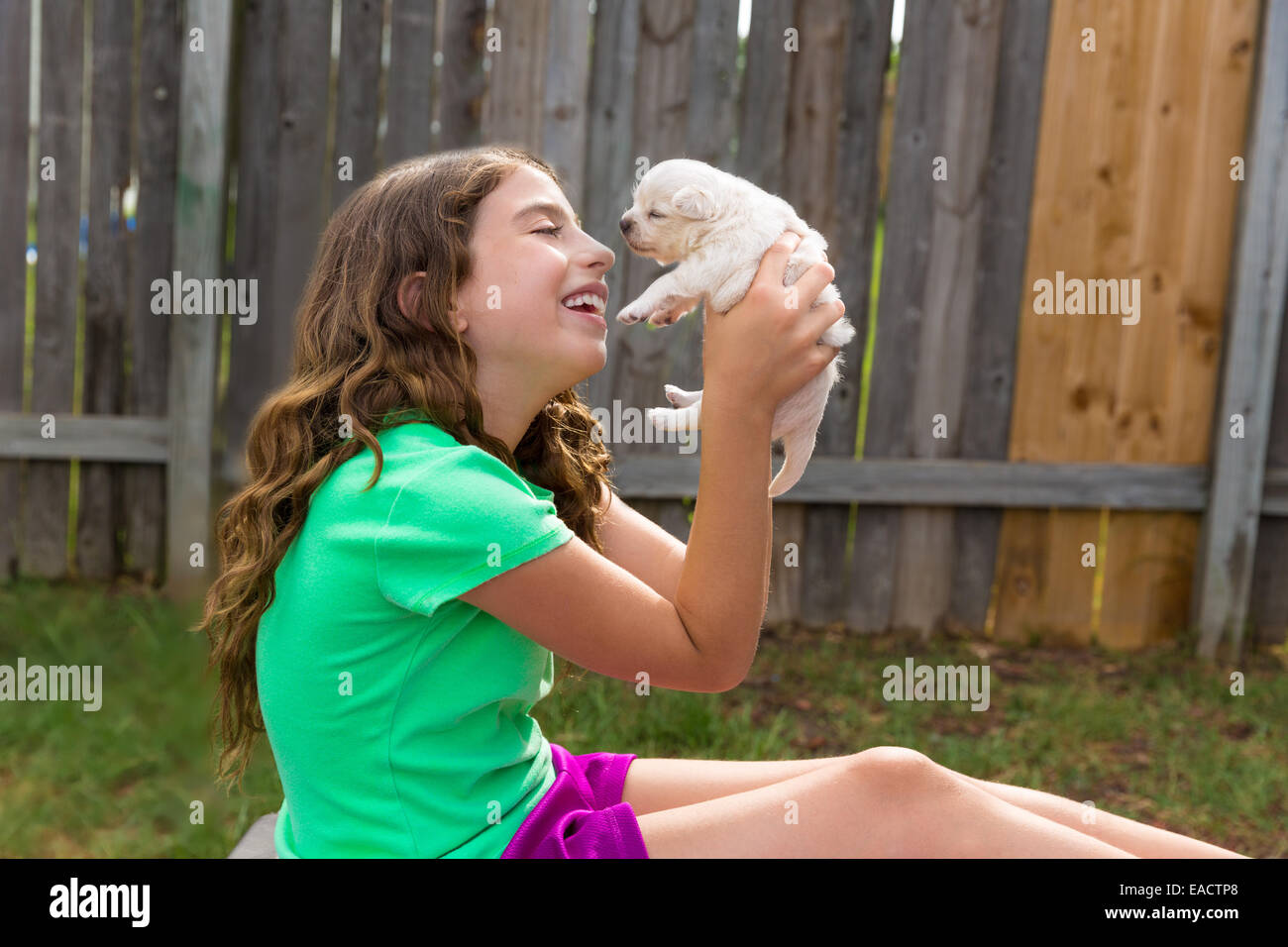 kid girl with puppy pet chihuahua playing happy with doggy outdoor ...