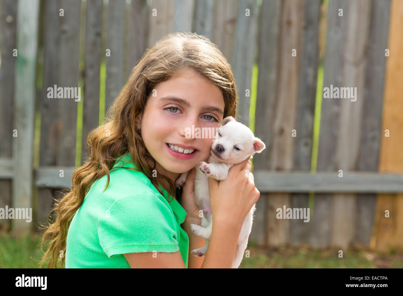 kid girl with puppy pet chihuahua playing happy with doggy outdoor ...