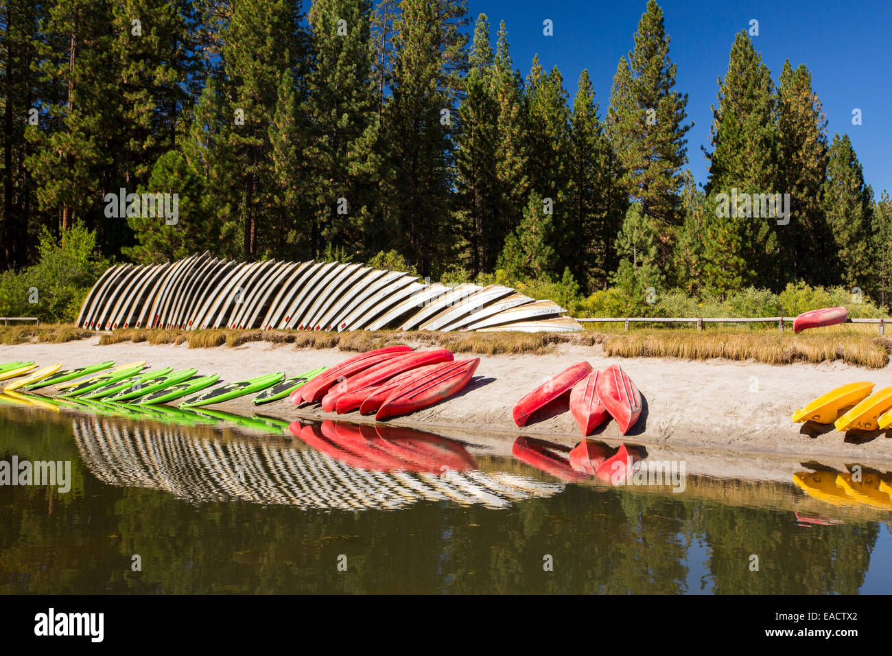 Boats on the edge of Hume Lake in Sequoia National Park, California, USA. Stock Photo