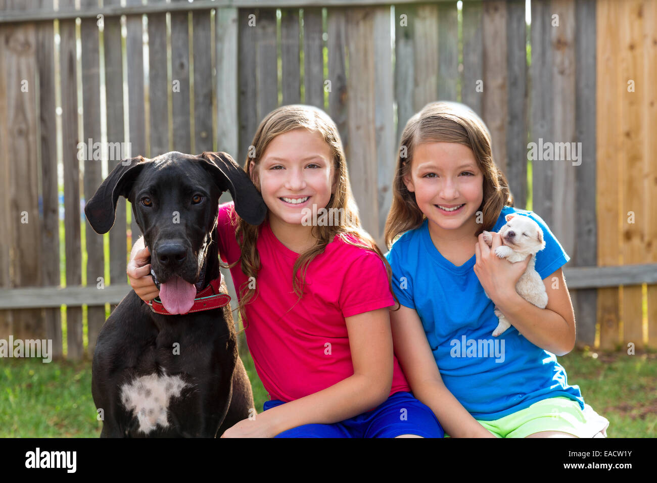 Twin sisters puppy pet dog and great dane playing together Stock Photo