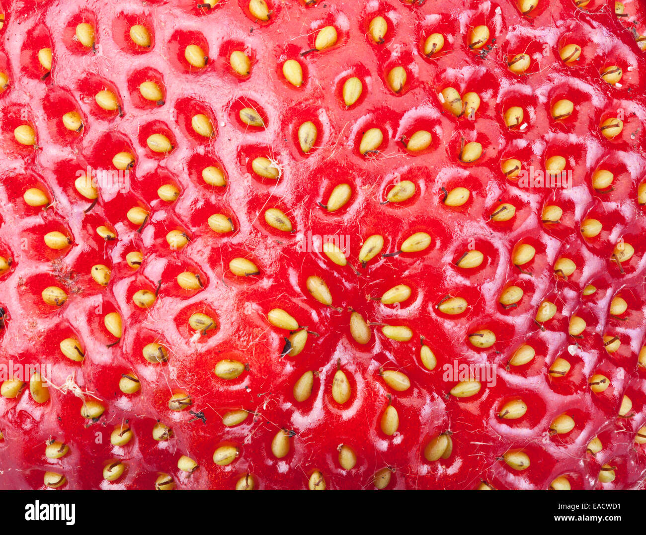 Strawberry fruit background. Macro shot Stock Photo - Alamy