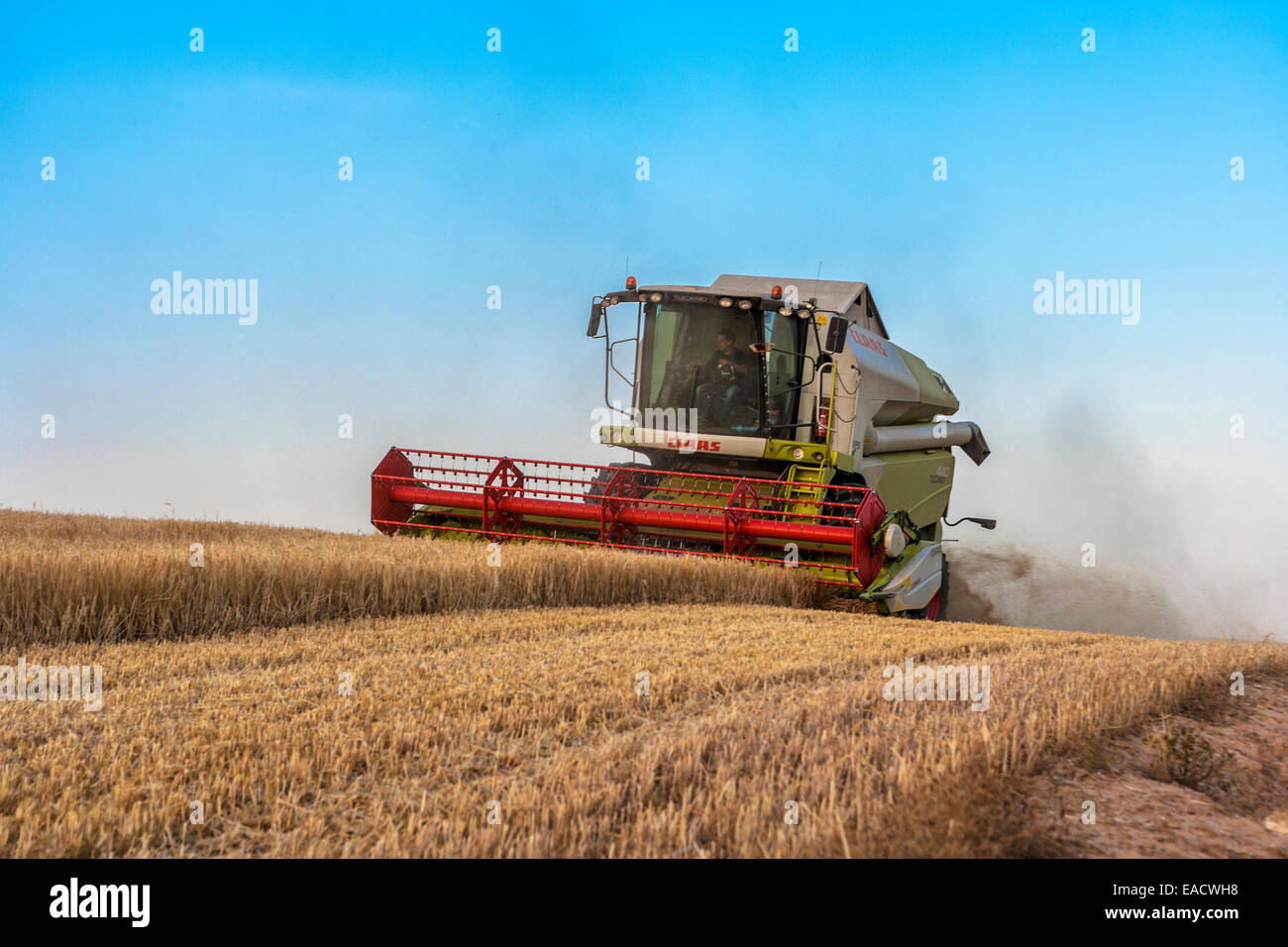 Combine harvester Stock Photo