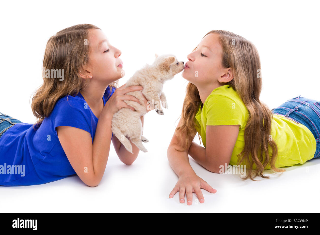 happy twin sister kid girls kissing puppy dog lying playing on white background Stock Photo