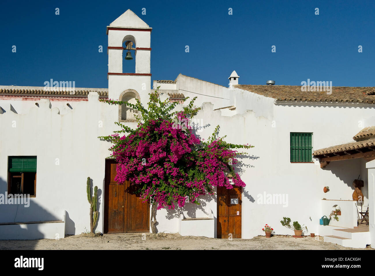 Conil de la frontera hi-res stock photography and images - Alamy