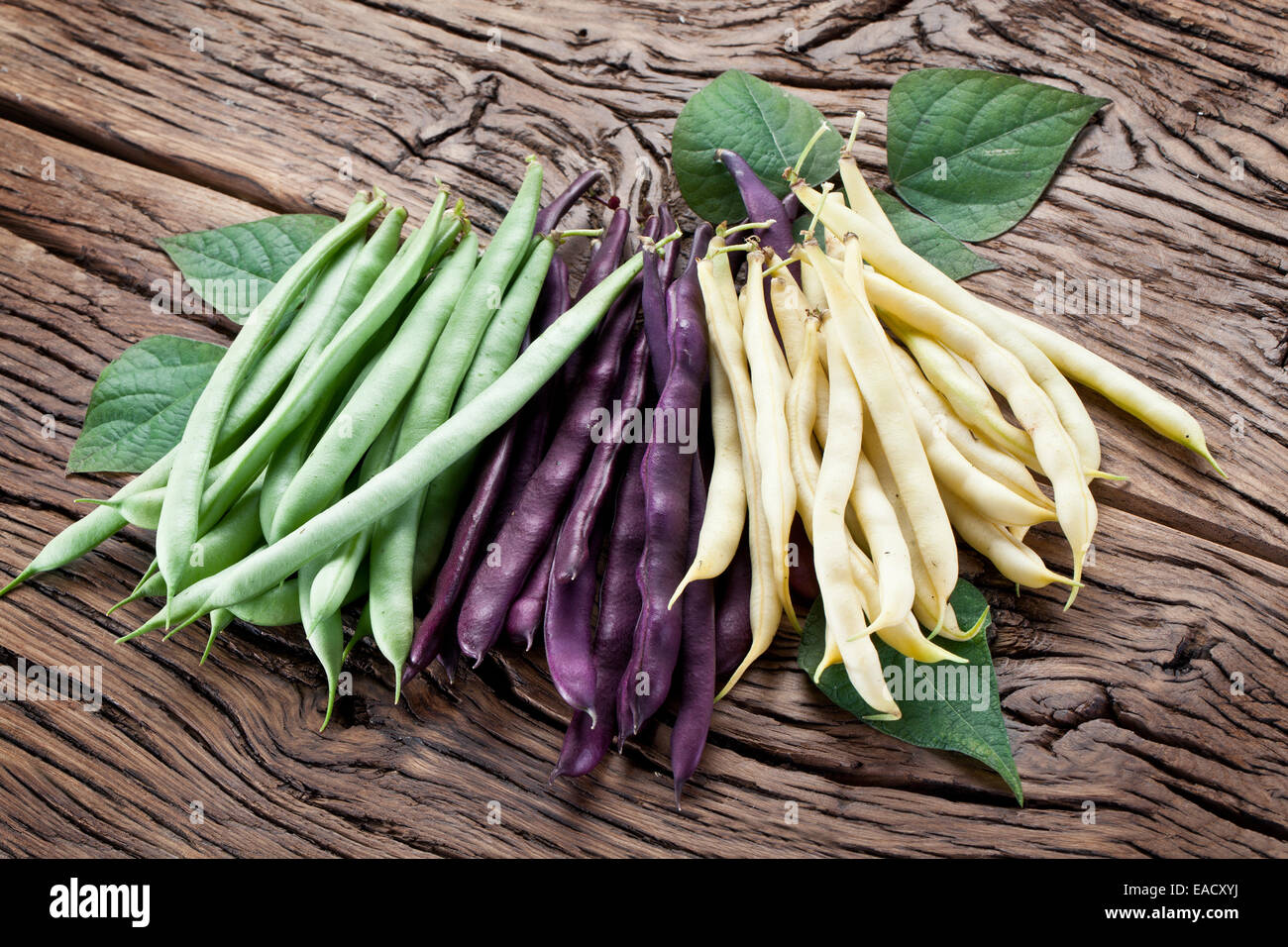 Green beans table hi-res stock photography and images - Alamy