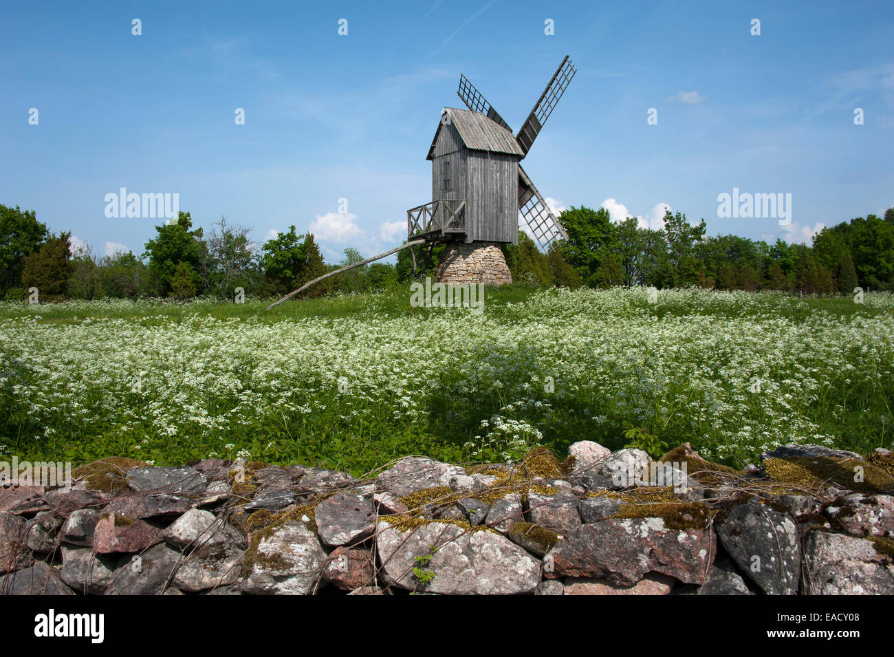Muhu hi-res stock photography and images - Alamy