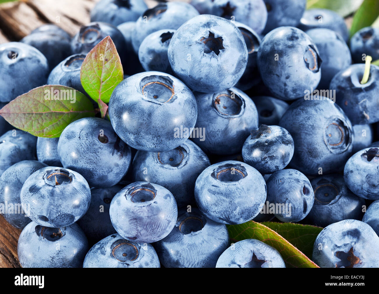 Ripe blueberries - food background. Macro shot. Stock Photo